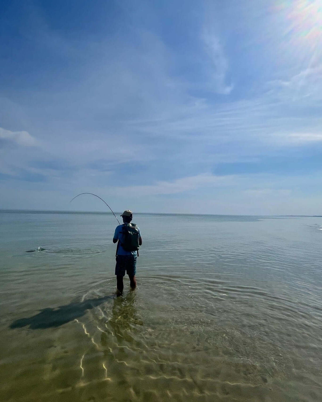 Cape Cod Fly Fishing Guide and Report for Striped Bass on Cape Cod.