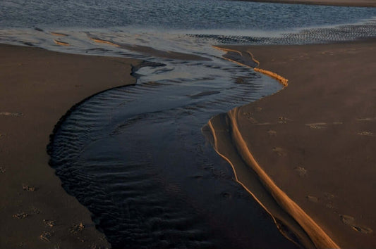 Cape Cod Bay and Its Warming Waters becuase of Climate Change. Do Your Part for the earth!